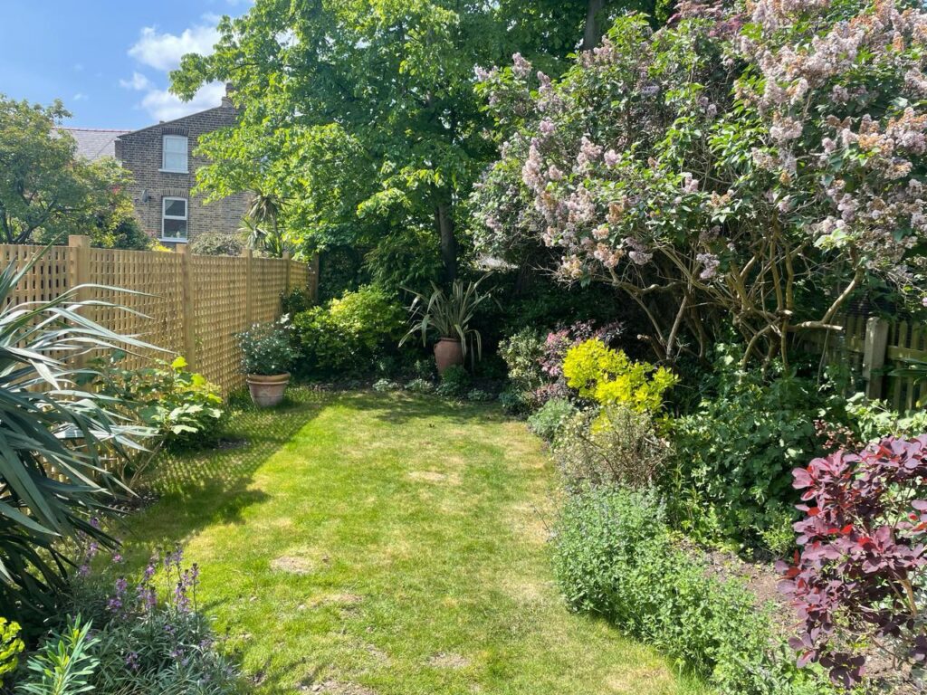 Muschamp Road, London SE15